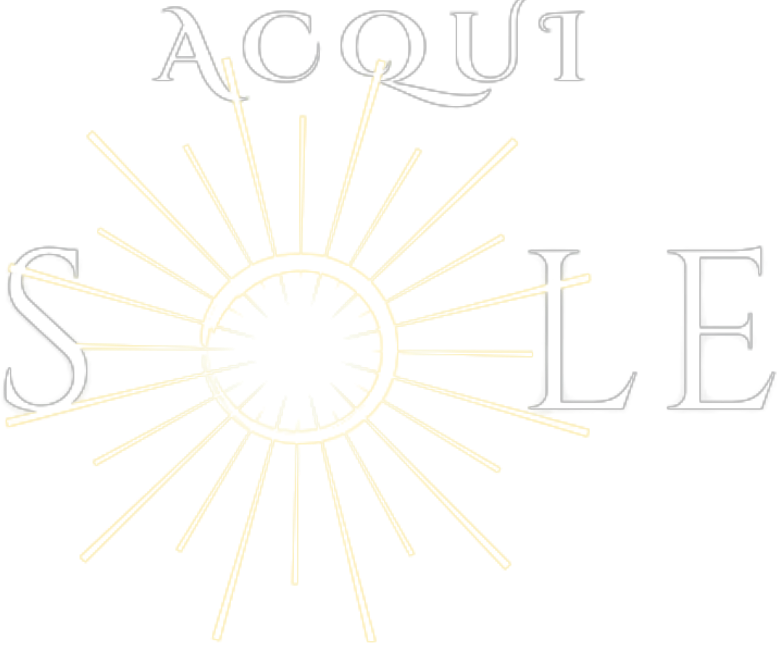 Logo Acqui Sole CER