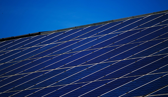 Trinciasarmenti con telaio e centralina