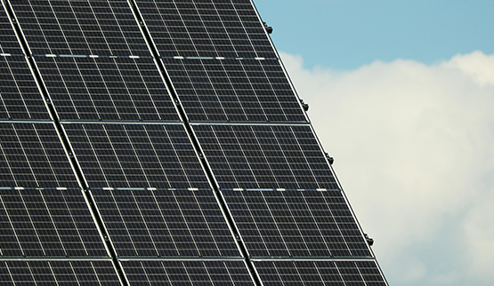 Trinciasarmenti con telaio dedicato